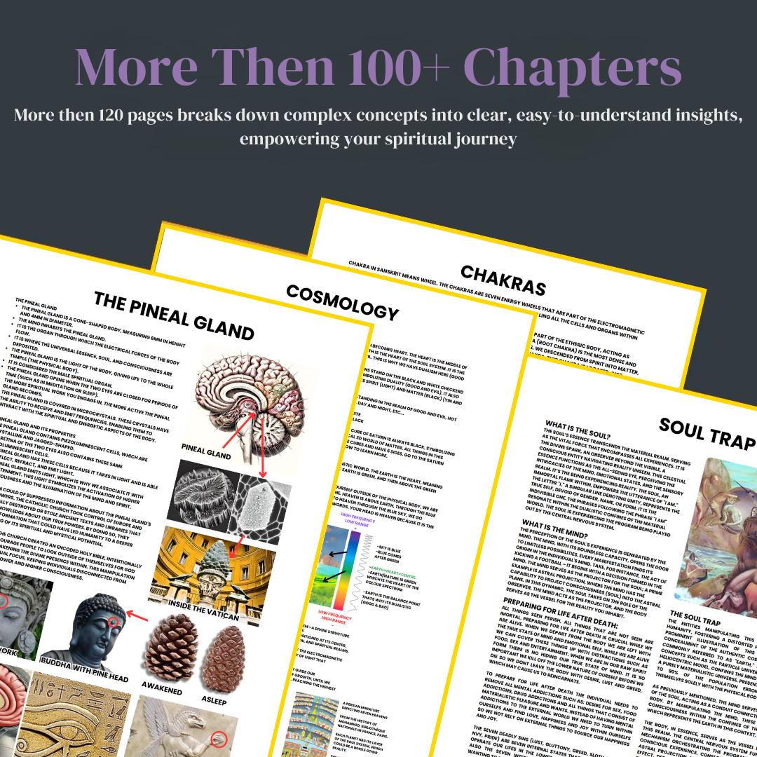 The Book of Wisdom Bundle